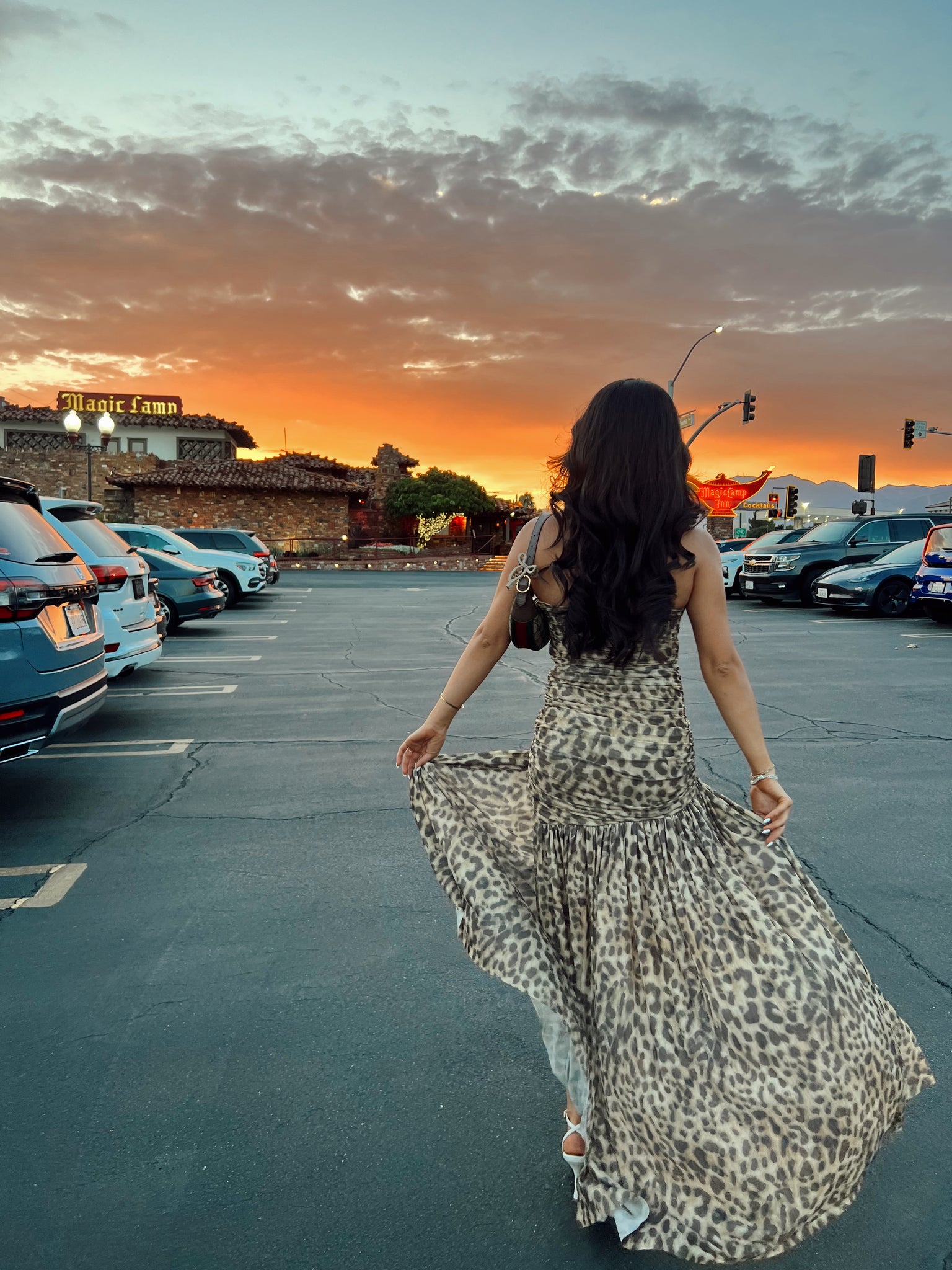 Wild Thing Dress
