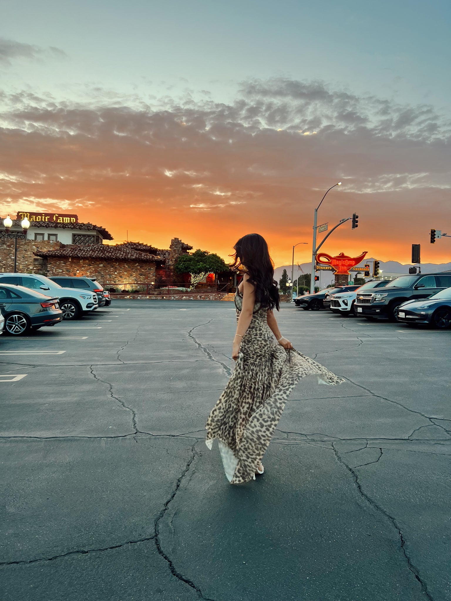 Wild Thing Dress