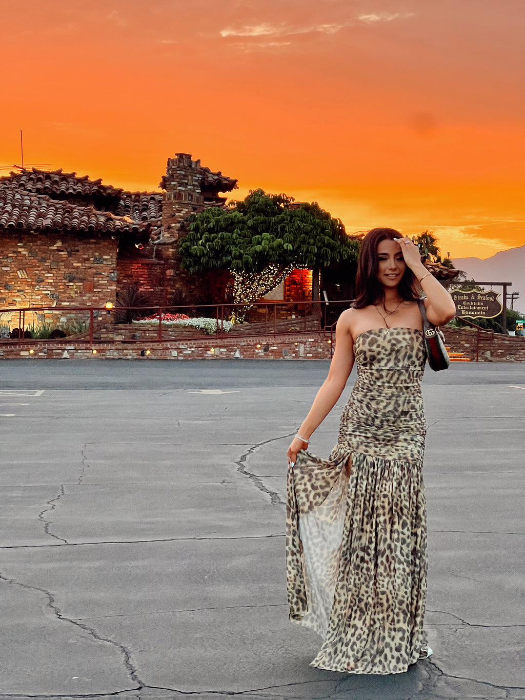 Wild Thing Dress