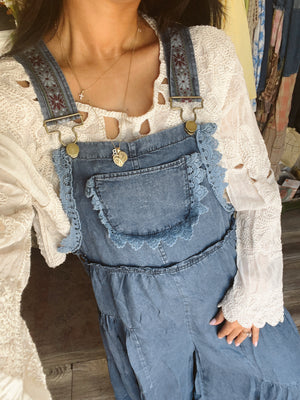 Dreamweaver Top